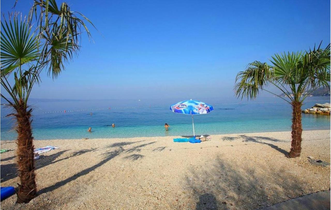 דירות דוגי ראט Absolute Beach Holidays מראה חיצוני תמונה