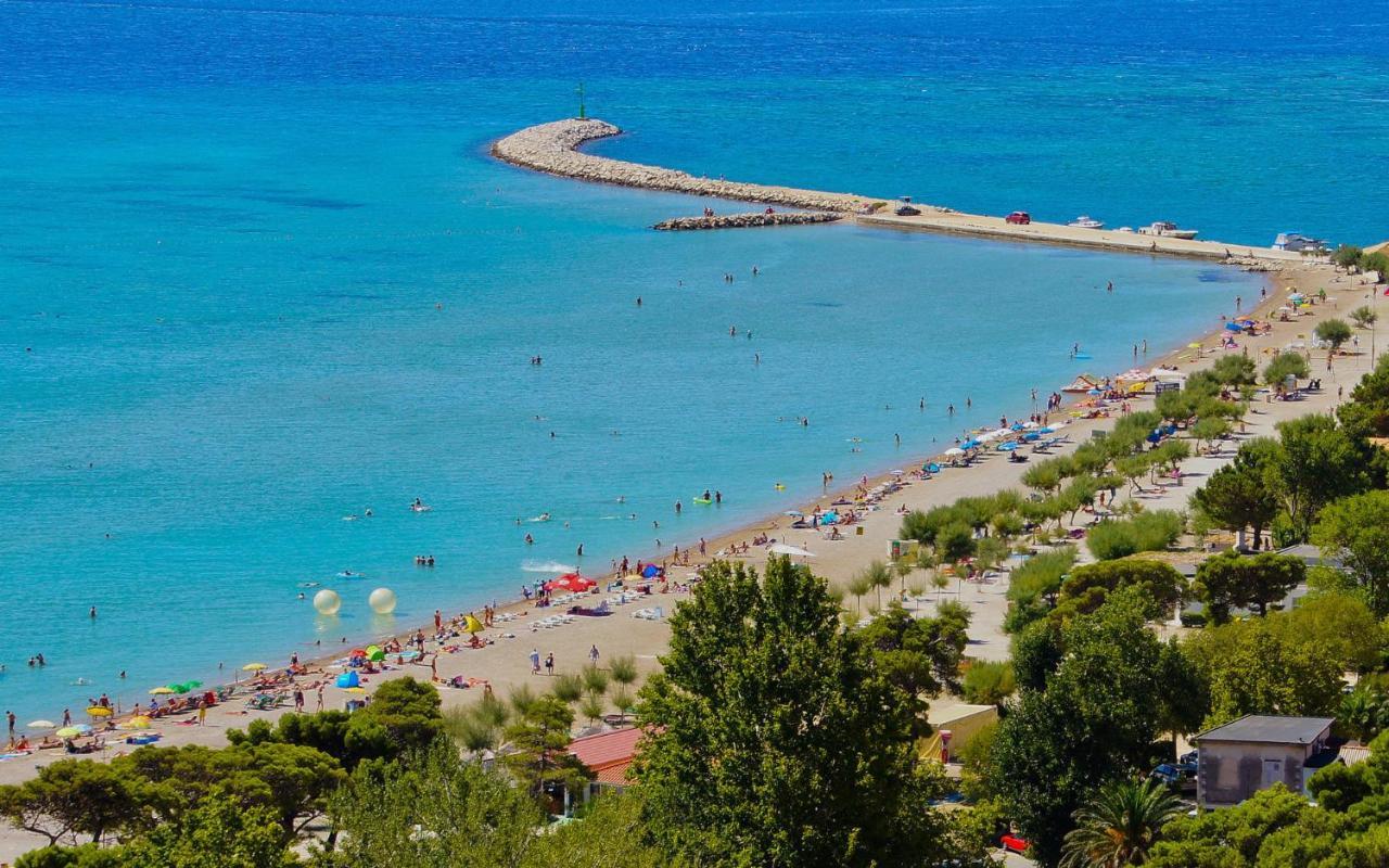 דירות דוגי ראט Absolute Beach Holidays מראה חיצוני תמונה